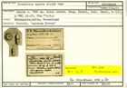 Karteikarte zum Holotyp von Glandulina aperta Stache, 1864